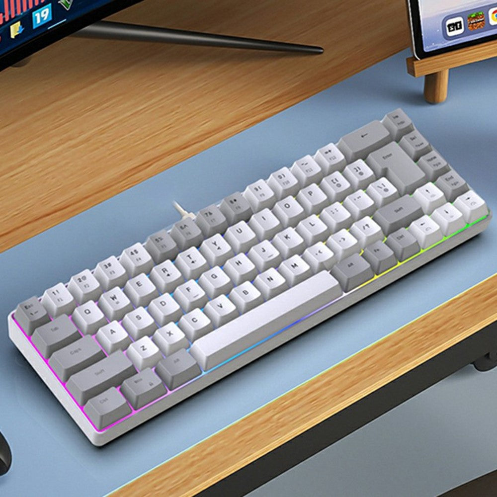 Y-FRUITFUL K701 68 Keys Wired Keyboard with RGB Light Mechanical Gaming Keyboard