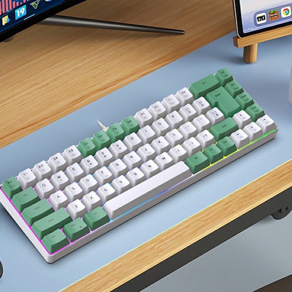 Y-FRUITFUL K701 68 Keys Wired Keyboard with RGB Light Mechanical Gaming Keyboard