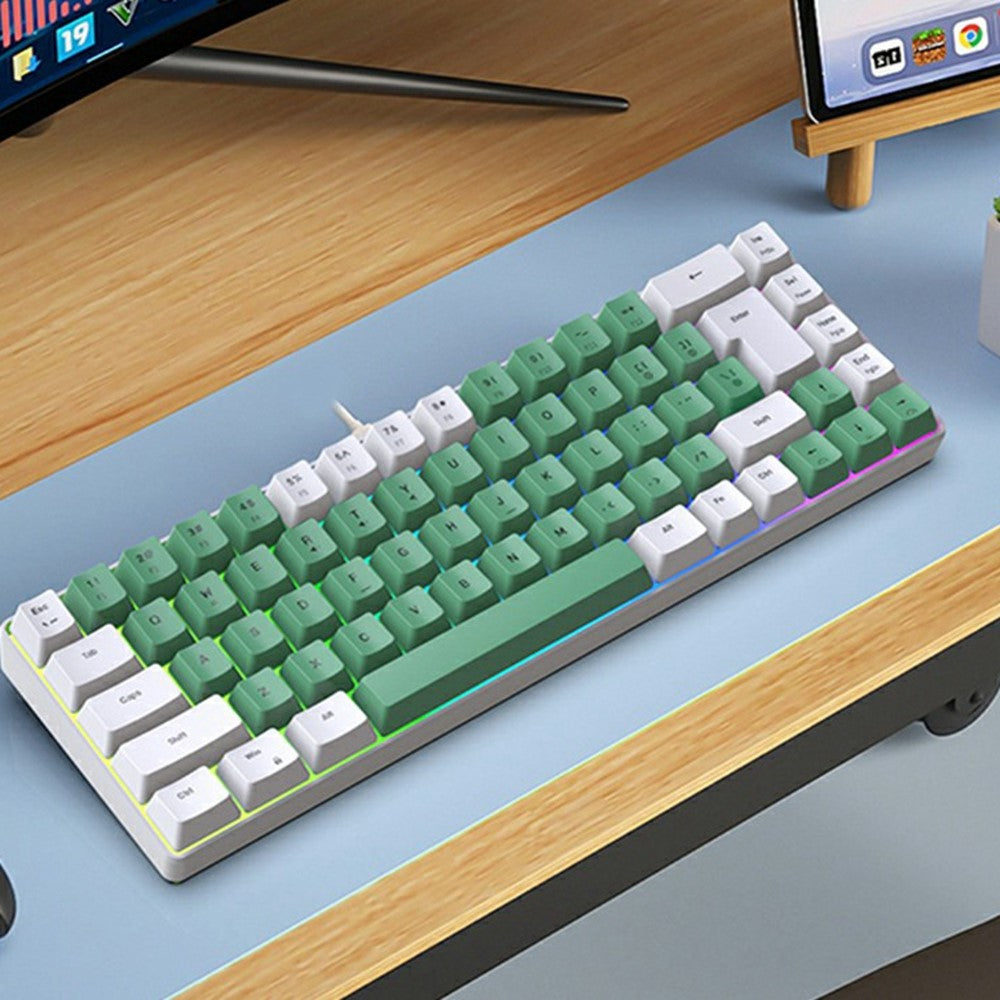 Y-FRUITFUL K701 68 Keys Wired Keyboard with RGB Light Mechanical Gaming Keyboard