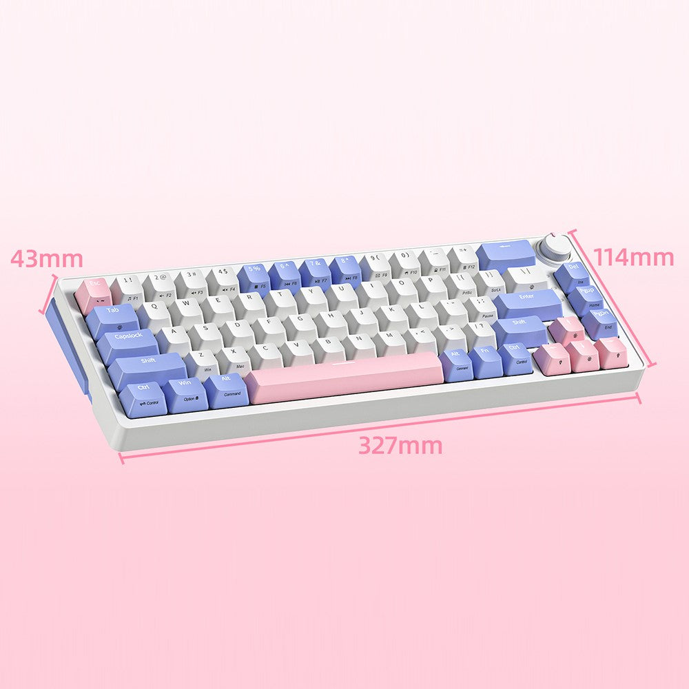 ZA68 Pro RGB Hot Swap 2.4G+Type-C+Bluetooth-compatible 68-Key Computer Keyboard