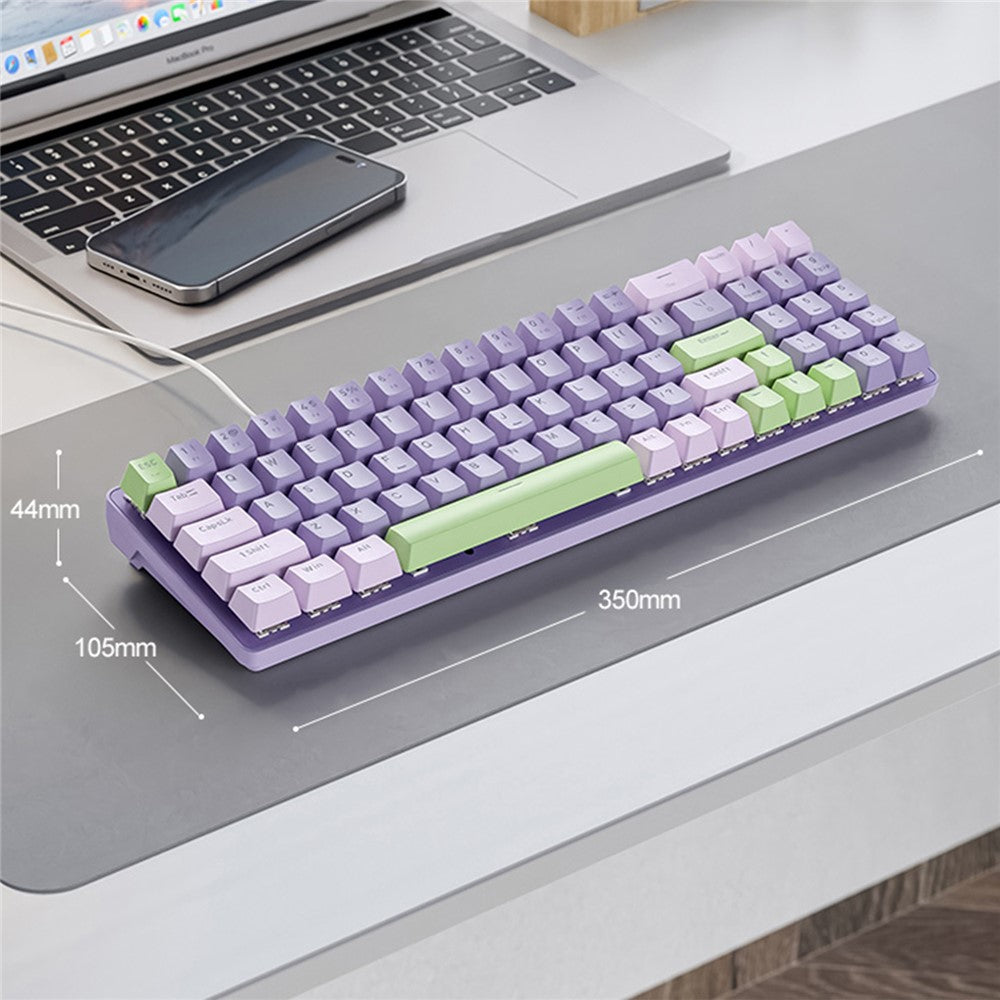 ZIYOULANG K65 78 Keys Hot Swappable Mechanical Keyboard RGB Light USB Wired Keyboard
