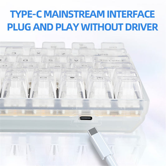 Y-FRUITFUL K10 Mechanical Gaming Keyboard 100 Keys Type-C Wired Clear Keyboard with RGB Light