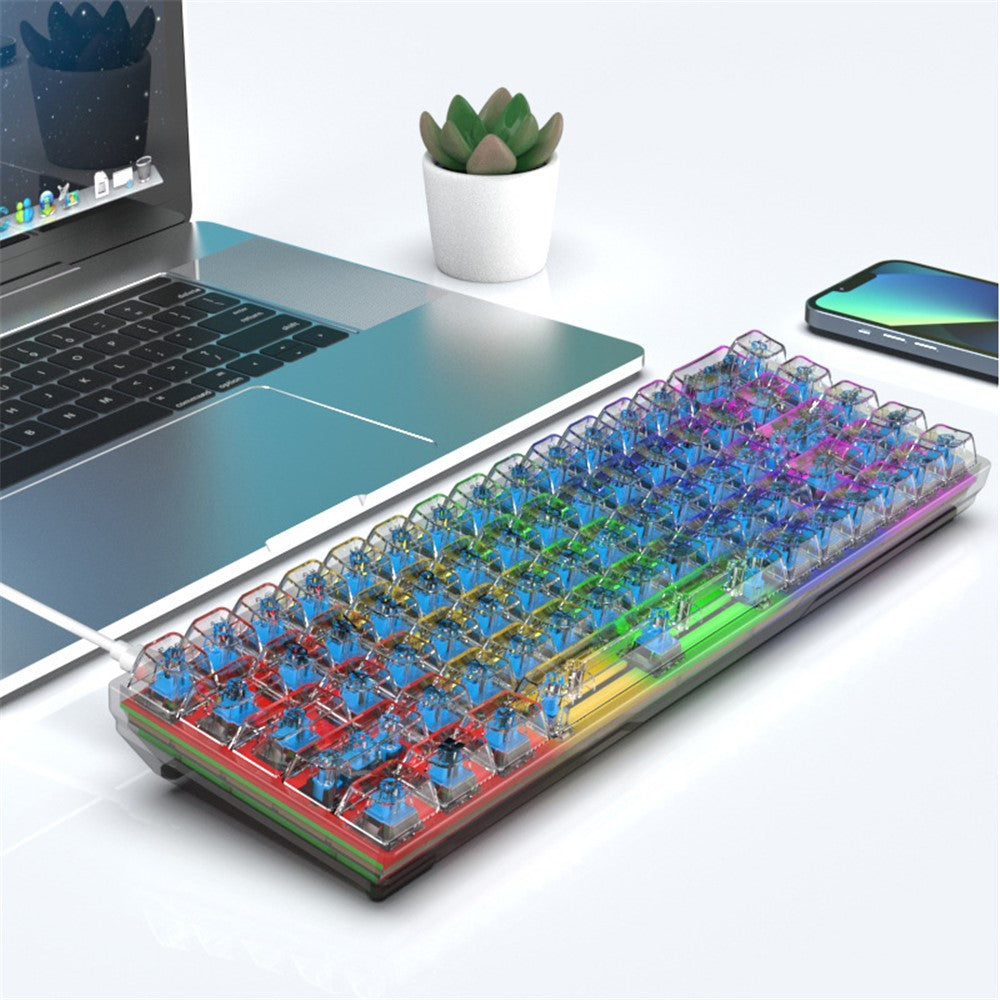 Y-FRUITFUL K60 68 Keys Type-C Wired Mechanical Keyboard RGB Light Transparent Keycaps Gaming Keyboard