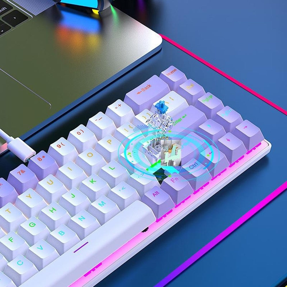 Y-FRUITFUL K68 Color Splicing Wired Keyboard 68-Key RGB Backlit Computer Office Gaming Keyboard