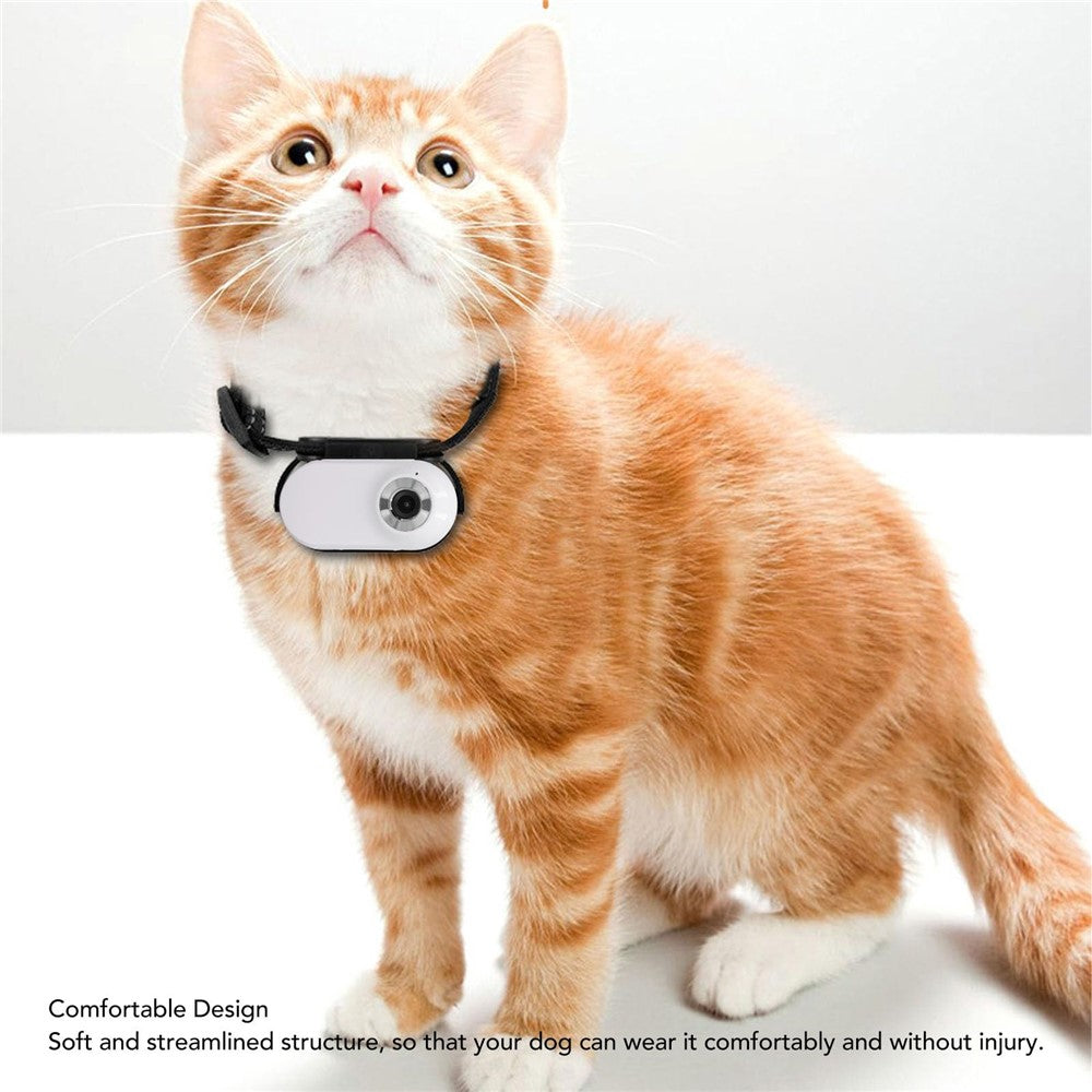 Action Cameras