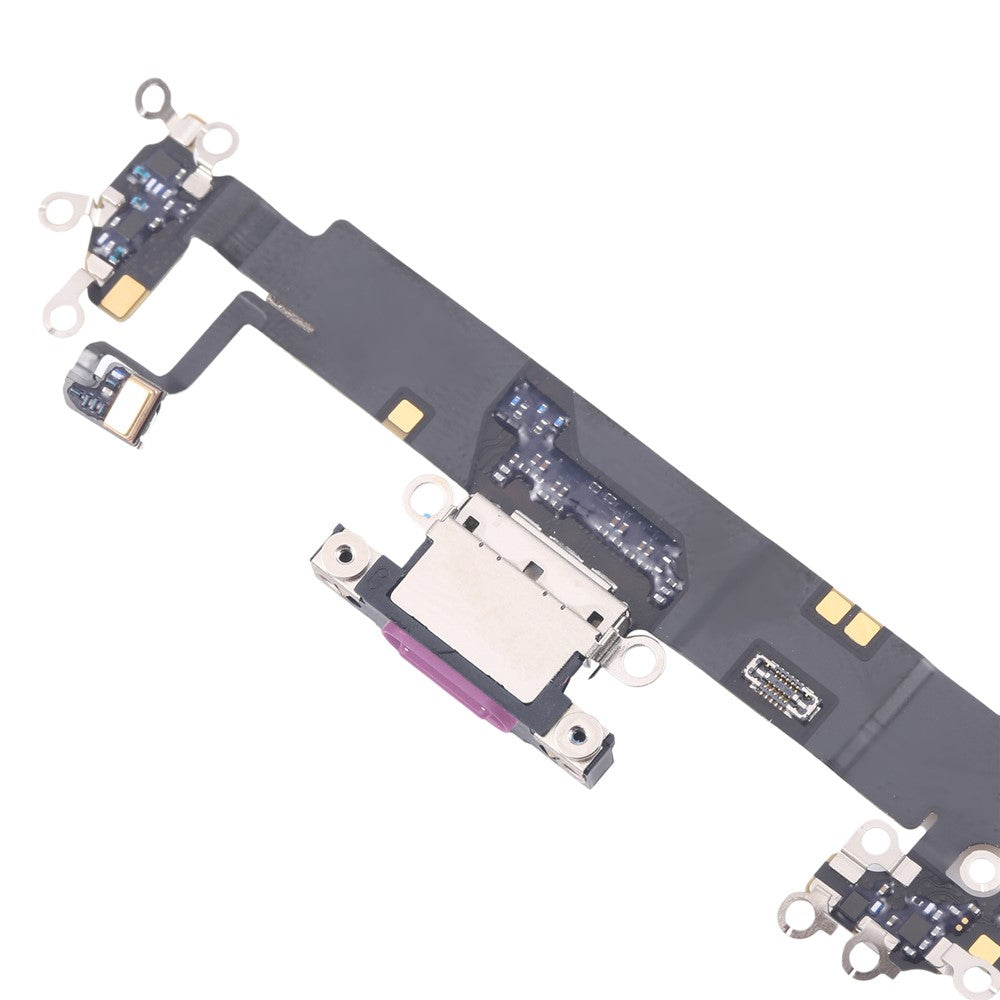 iPhone Parts