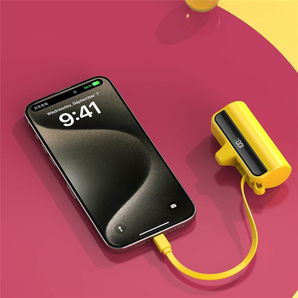 Smartphone Power Bank