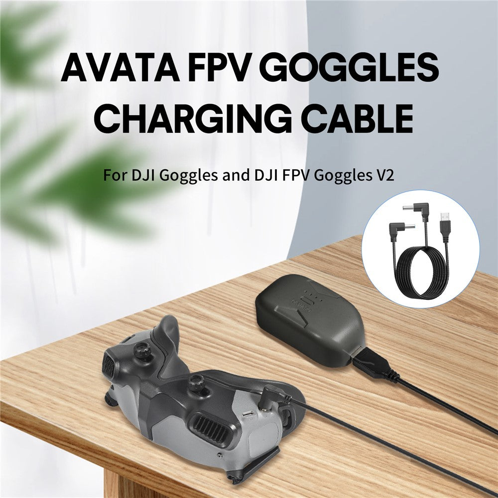 STARTRC 1116885 For DJI Goggles 2 / FPV Goggles V2 USB to Dual DC Charging Cable