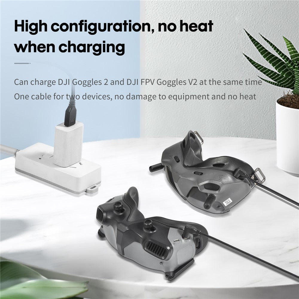 STARTRC 1116885 For DJI Goggles 2 / FPV Goggles V2 USB to Dual DC Charging Cable