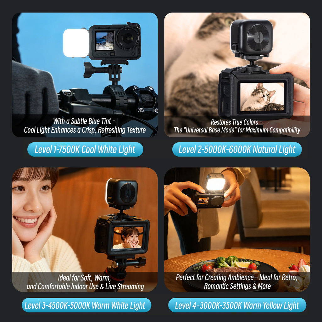 Other Camera Accessories 