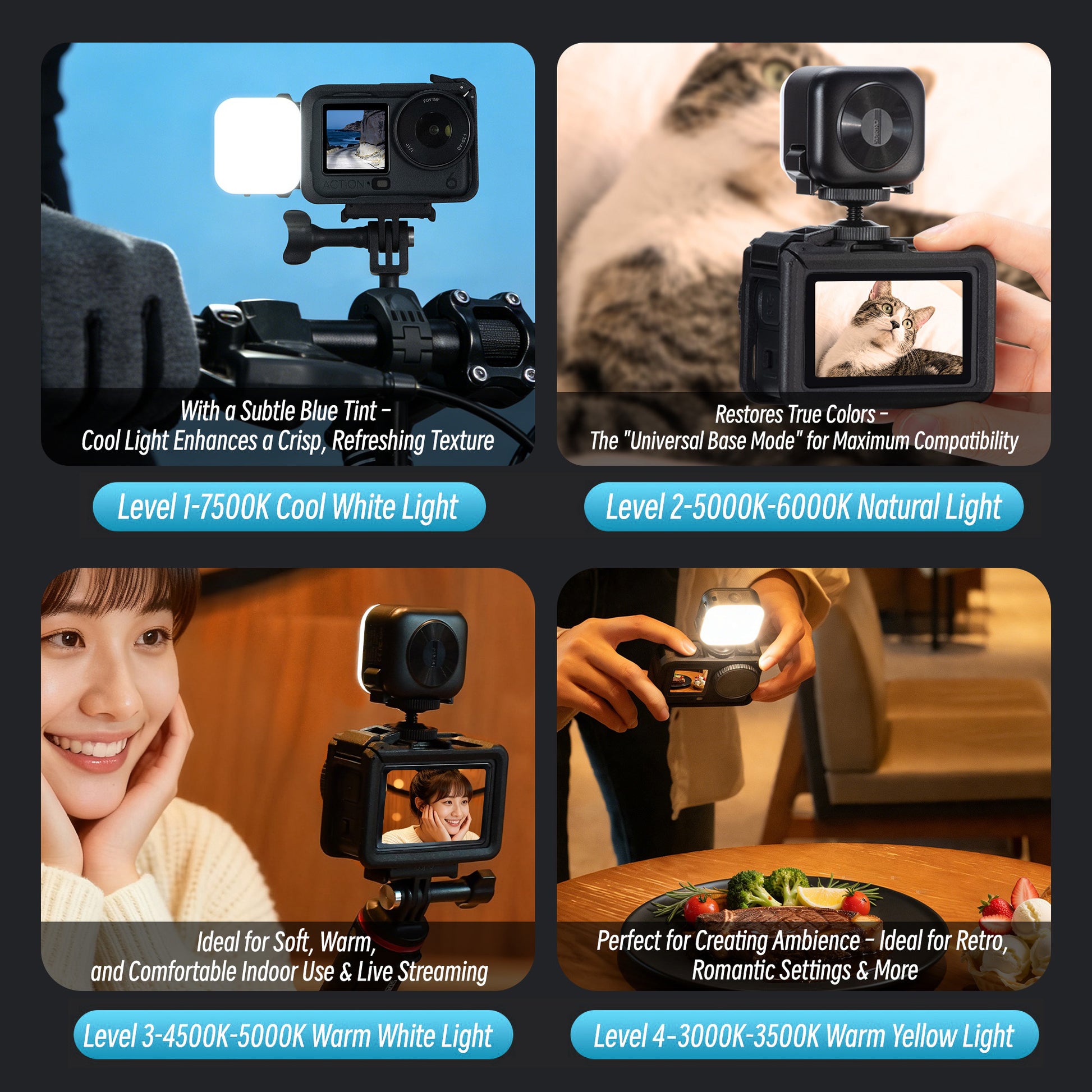 Other Camera Accessories 