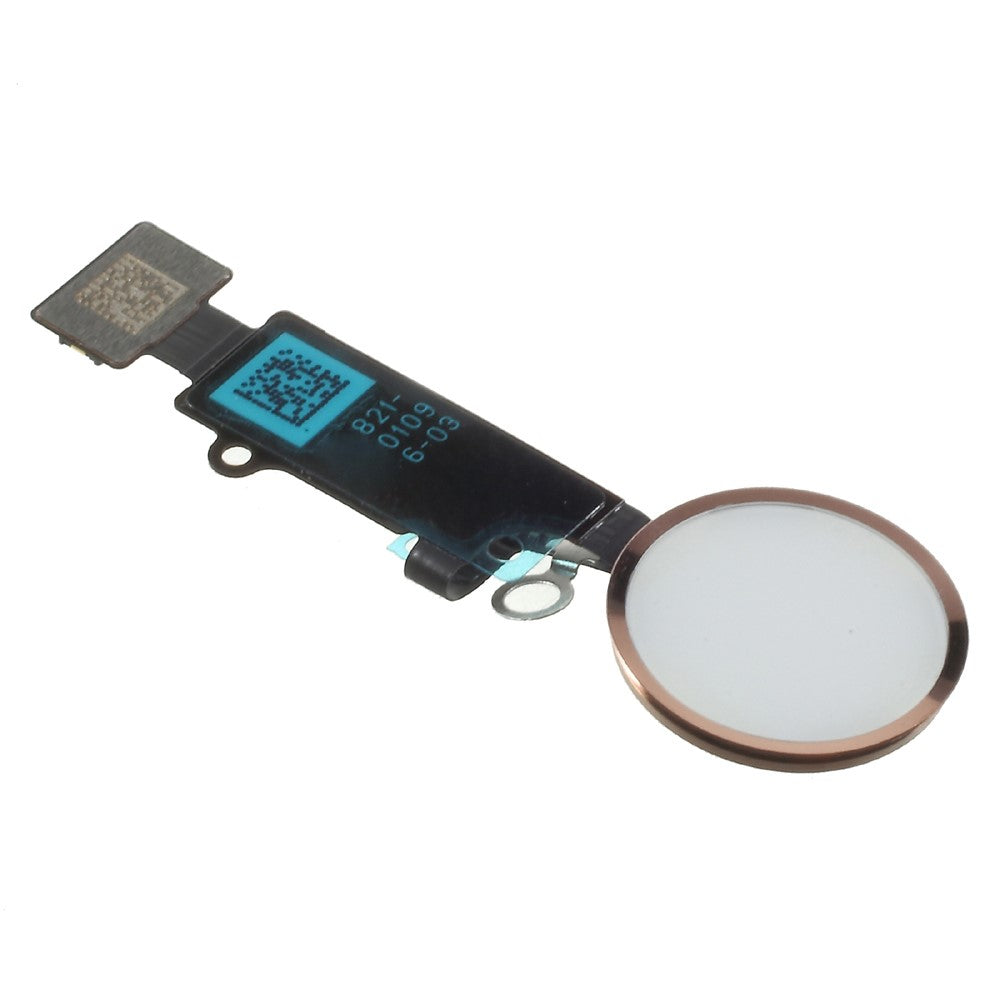 iPhone Parts
