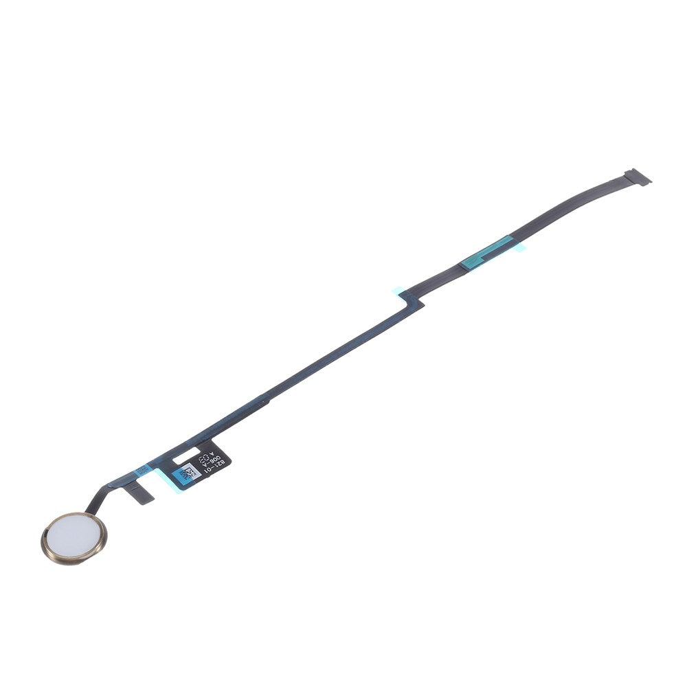 iPad Parts