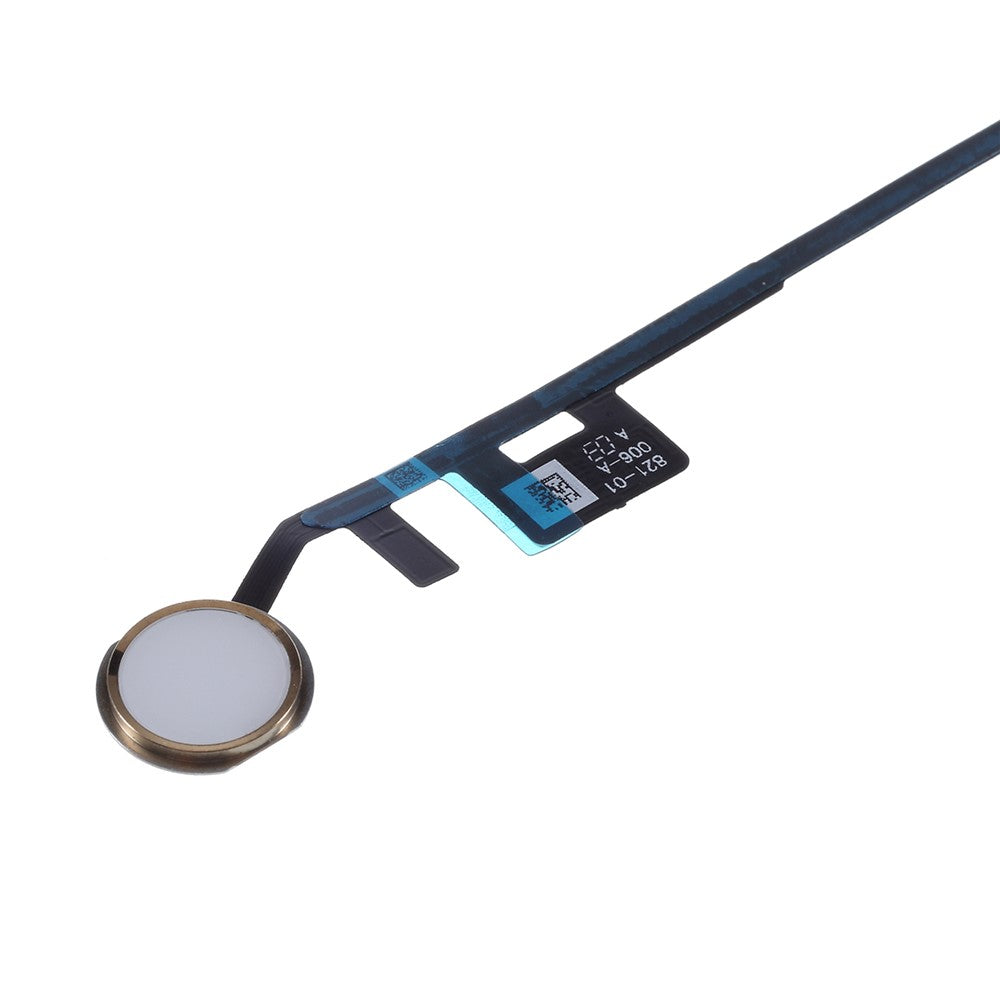 iPad Parts