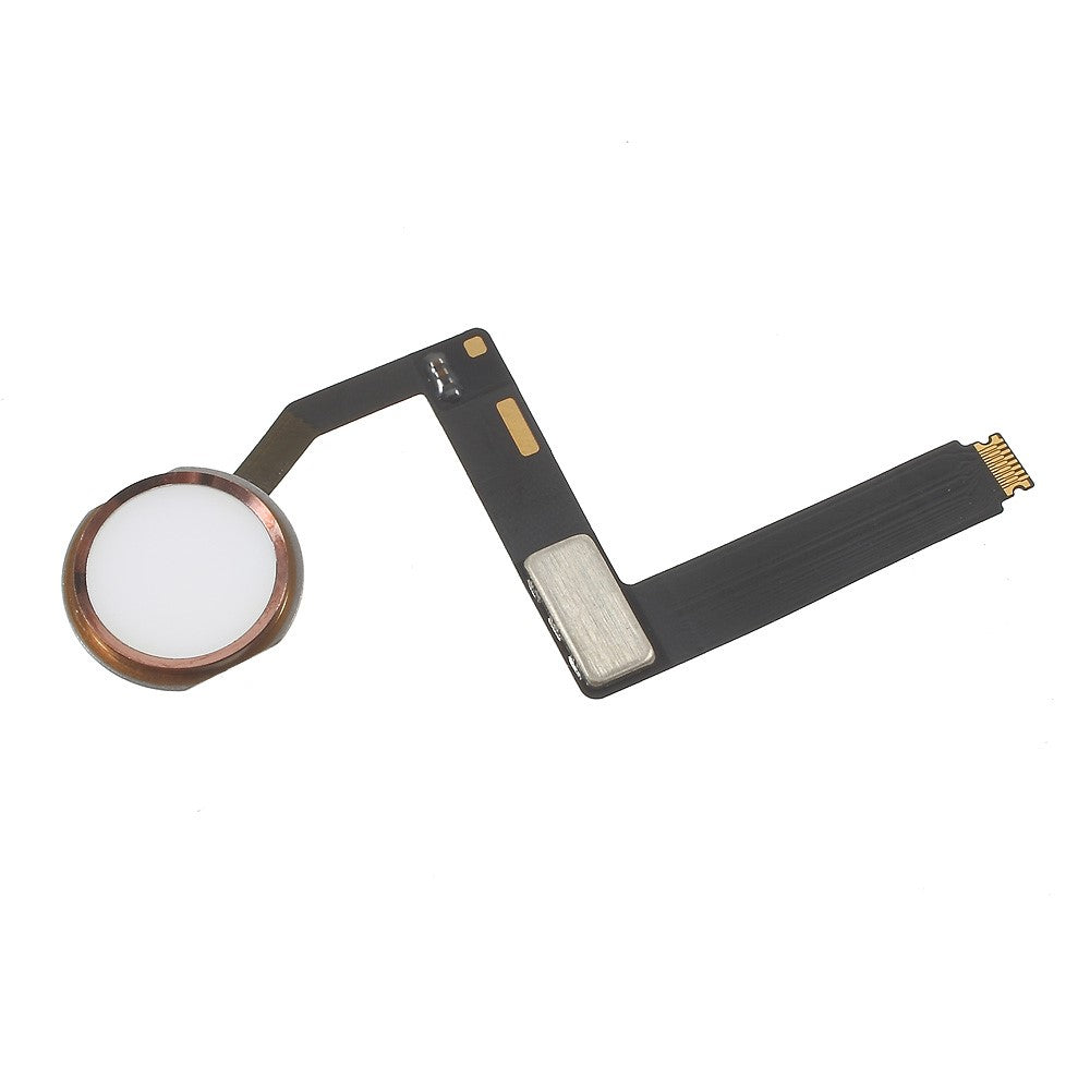 iPad Parts