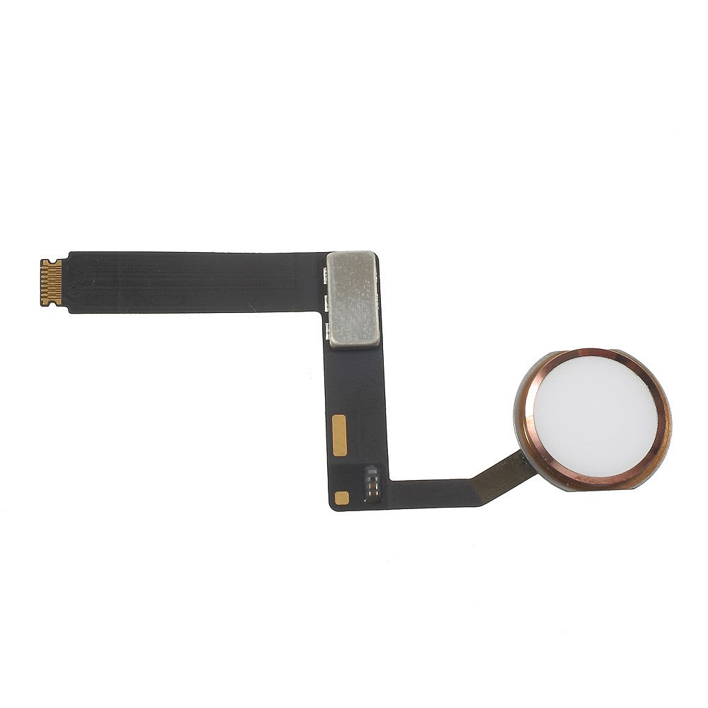 iPad Parts
