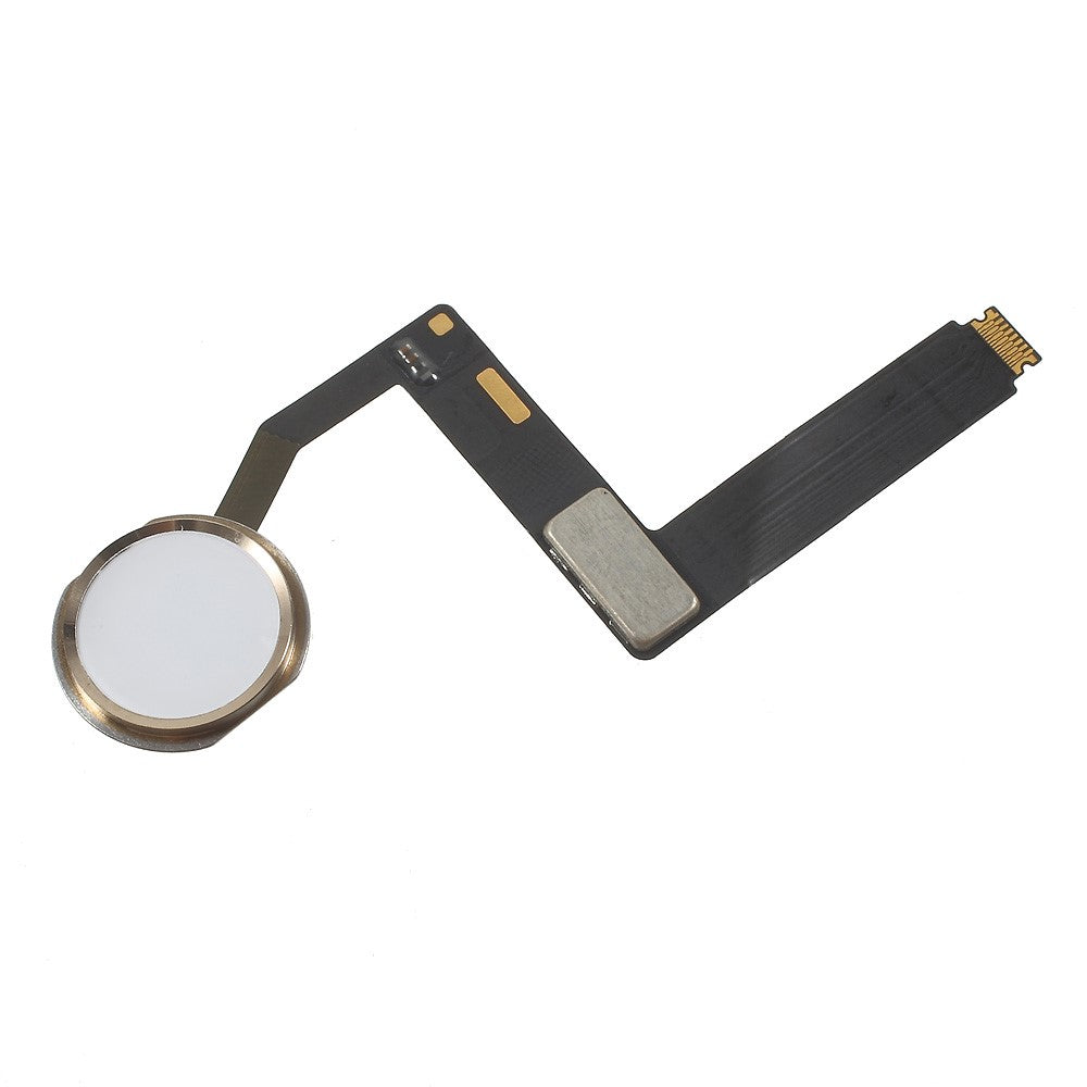 iPad Parts