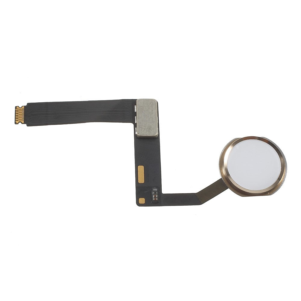 iPad Parts