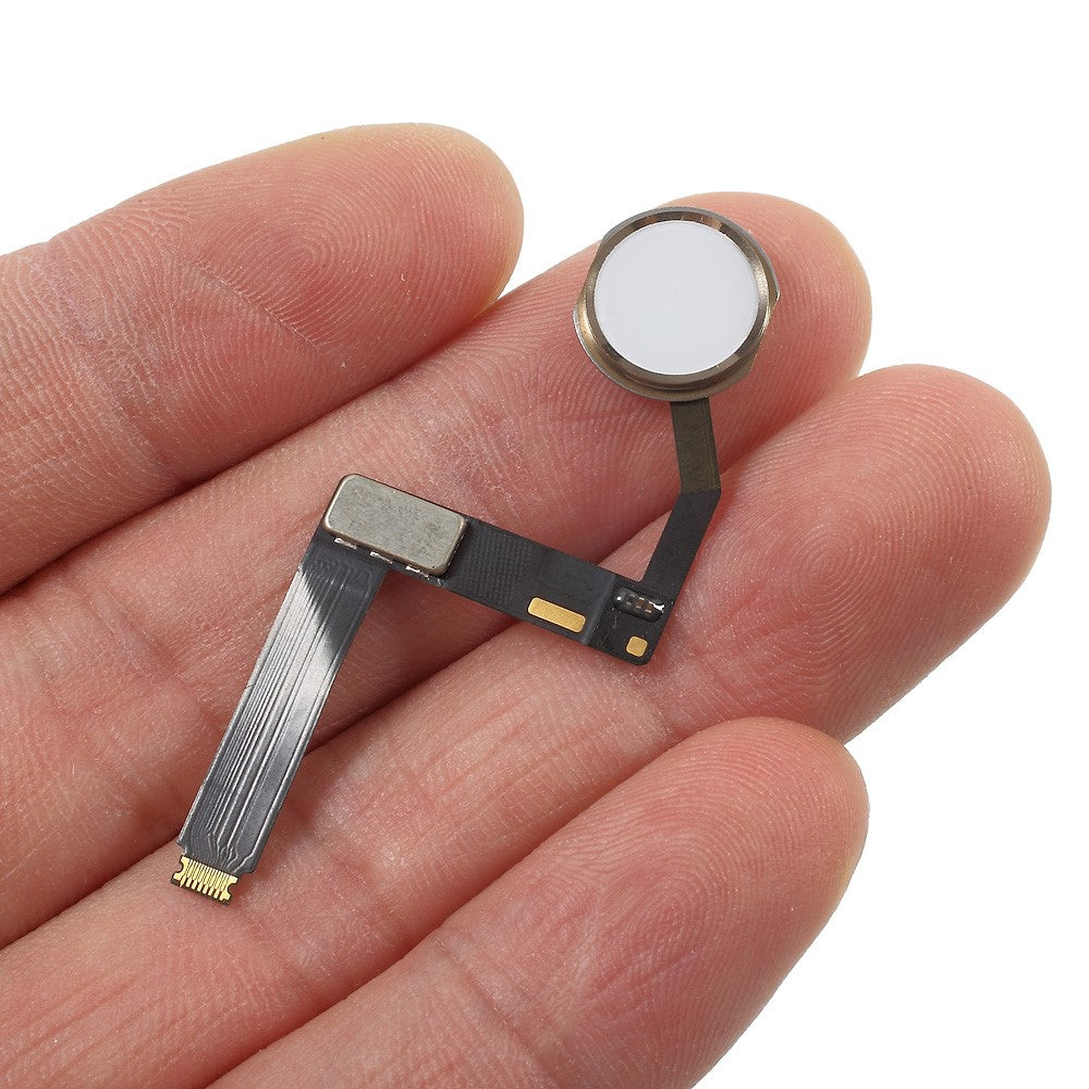 iPad Parts