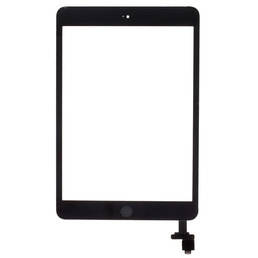 iPad Parts
