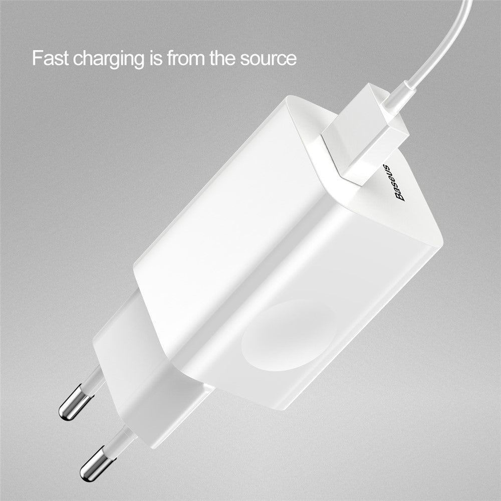 Wall Charger 