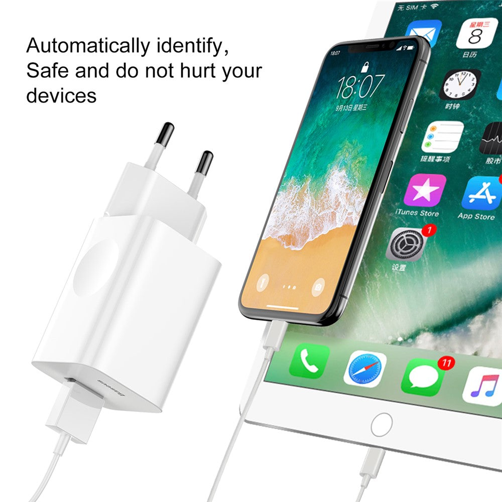 Wall Charger 