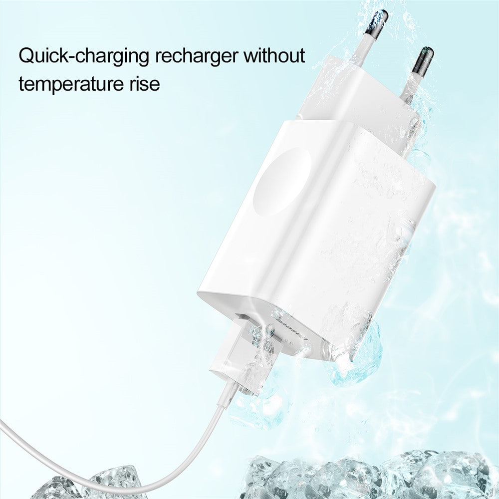 Wall Charger 