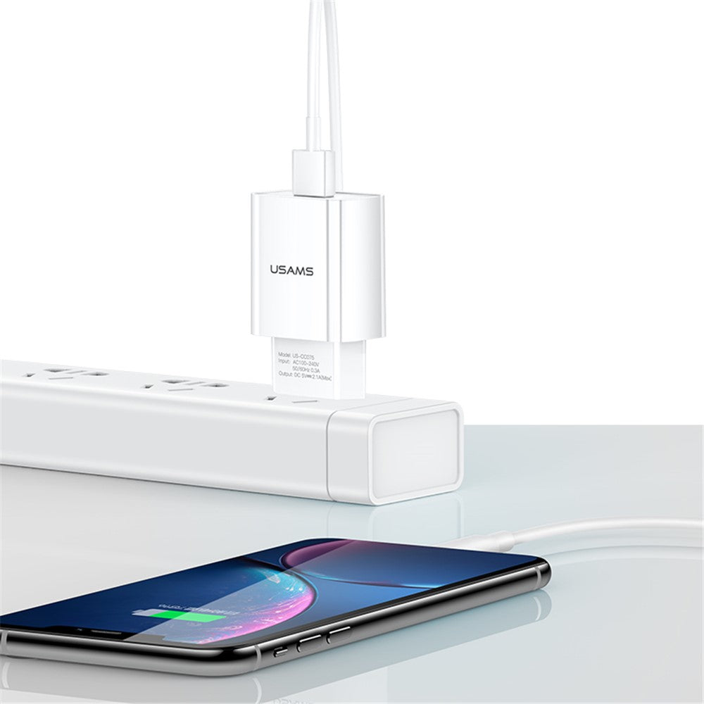 Wall Charger 