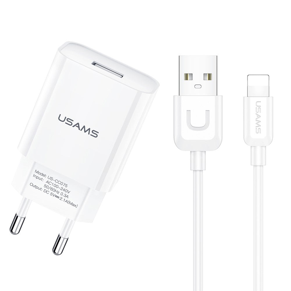 Wall Charger 