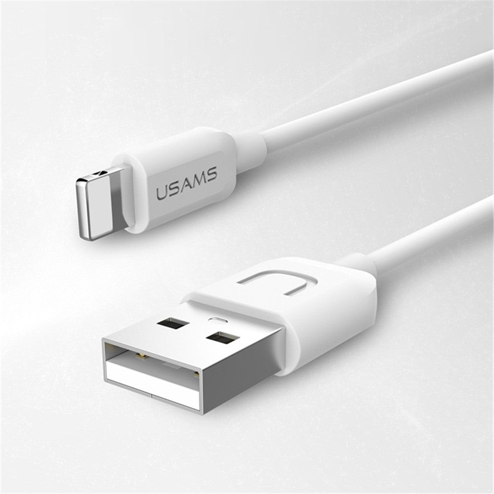 Wall Charger 