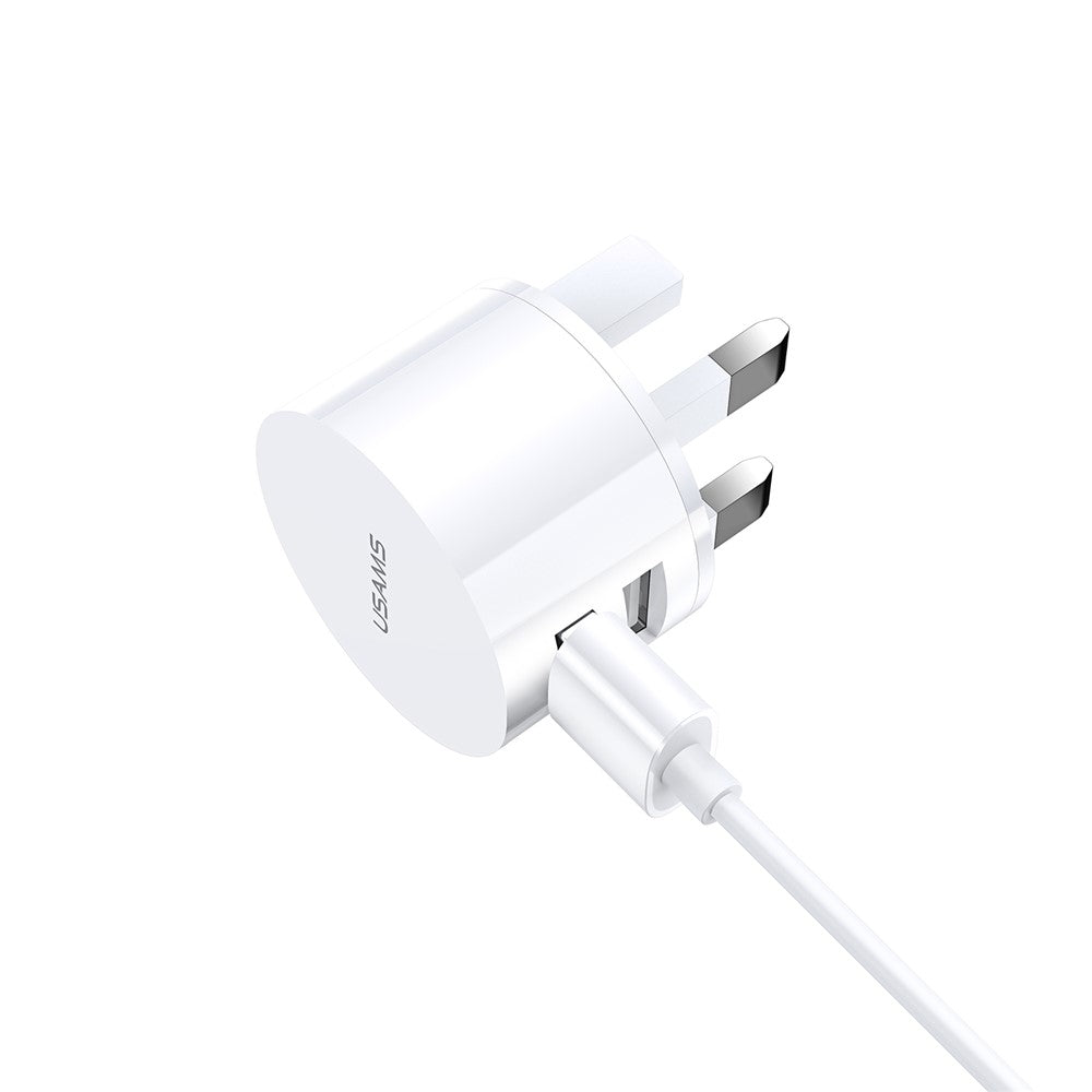 Wall Charger 