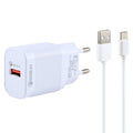 Wall Charger 