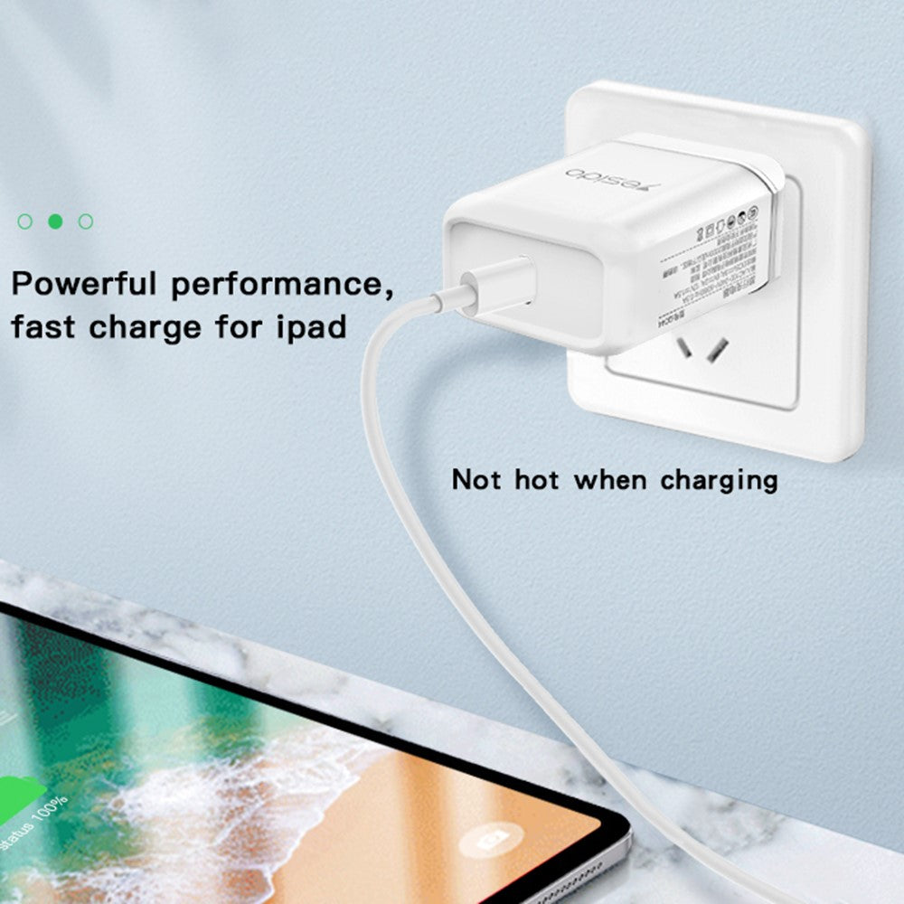 Wall Charger 