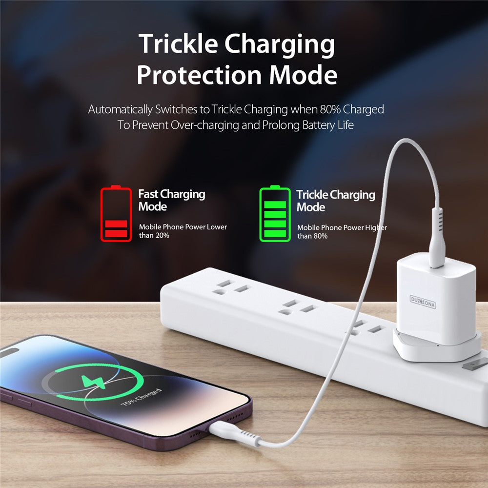 Wall Charger 