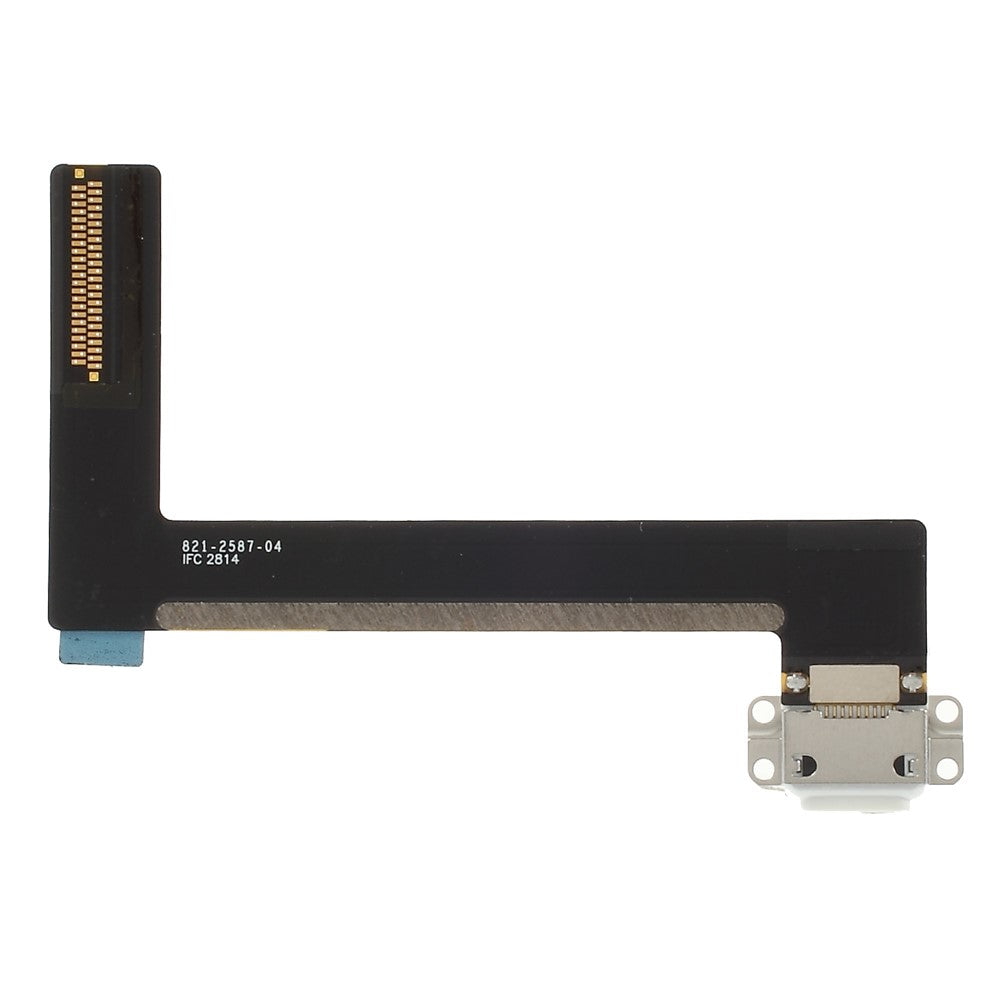 iPad Parts