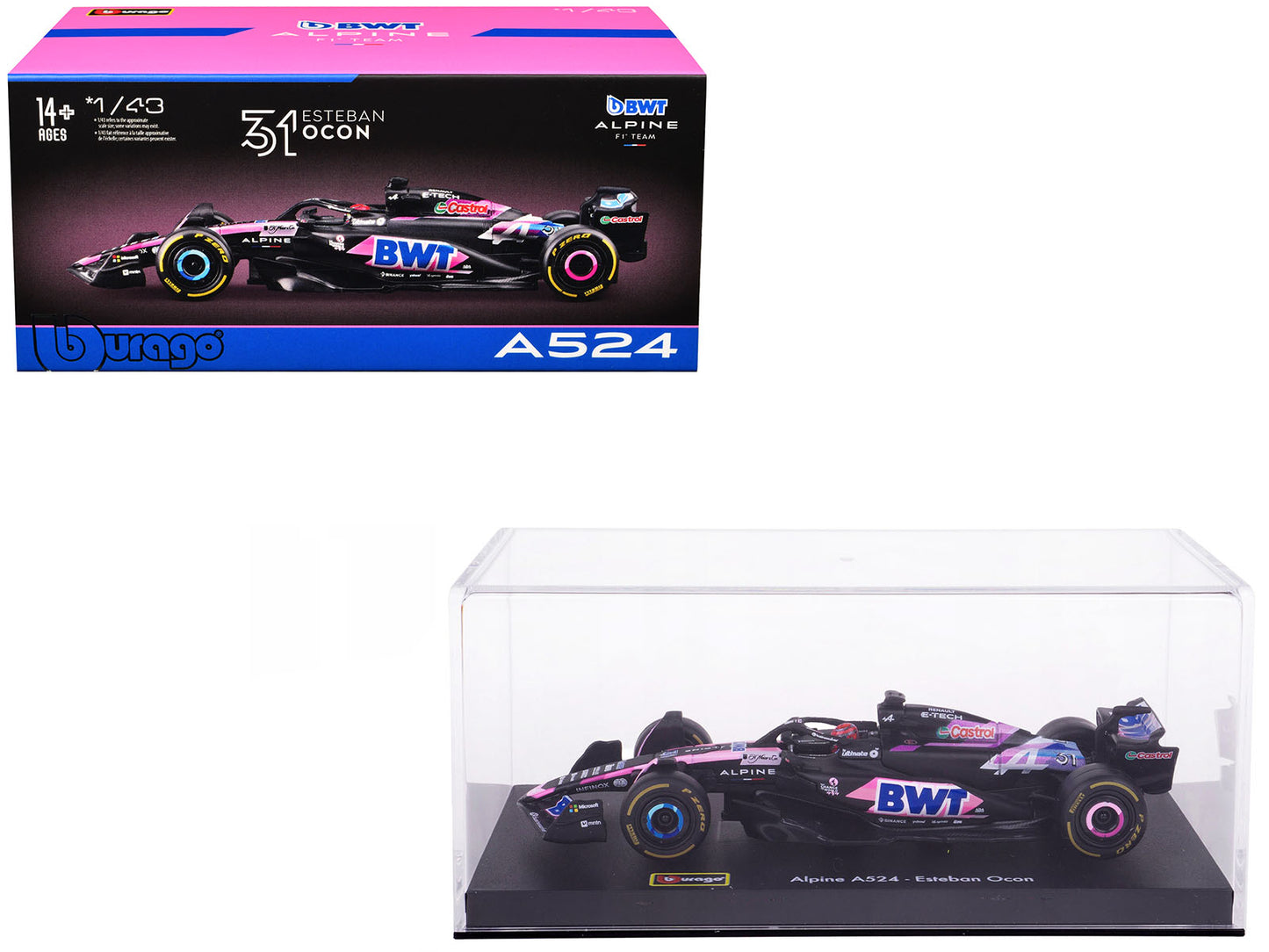Alpine A524 #31 Esteban Ocon "BWT" "Formula One F1 World Championship" (2024) with Driver Figure and Display Case "Race" Series 1/43 Diecast Model Car by Bburago