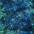 Ichiko Aoba - Luminescent Creatures [CD]