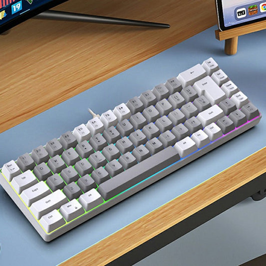 Y-FRUITFUL K701 68 Keys Wired Keyboard with RGB Light Mechanical Gaming Keyboard