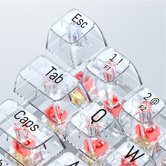 T-WOLF T40 150cm Wired Mechanical Keyboard with Clear Keycaps