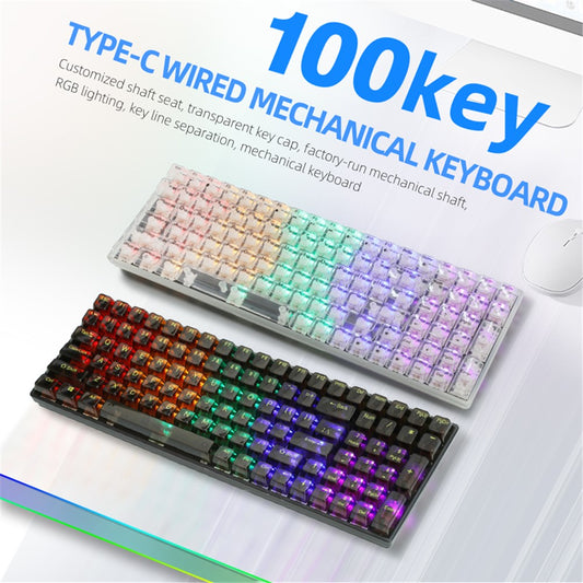 Y-FRUITFUL K10 Mechanical 100-Key Type-C Wired Keyboard with Clear Keycap