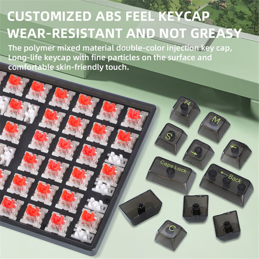 Y-FRUITFUL K10 100 Keys Type-C Wired Mechanical Keyboard with RGB Light, Transparent Black+Blue Switch