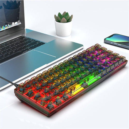 Y-FRUITFUL K60 68 Keys Type-C Wired Mechanical Keyboard RGB Light Transparent Keycaps Gaming Keyboard