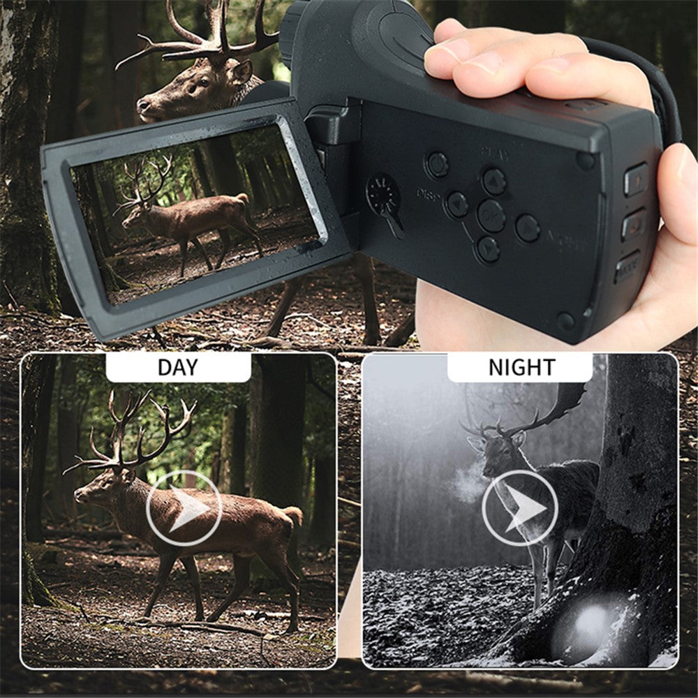 Digital Cameras 