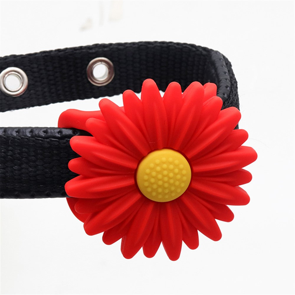 Airtag Accessories 
