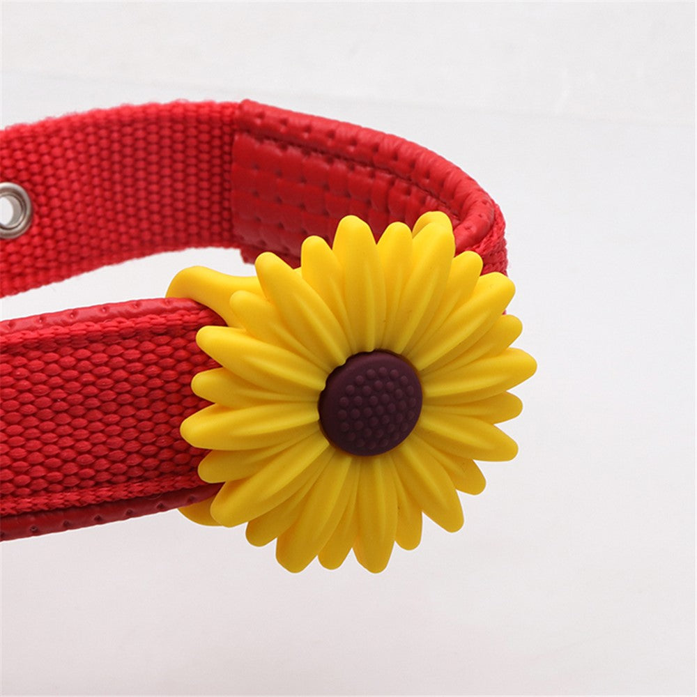 Airtag Accessories 