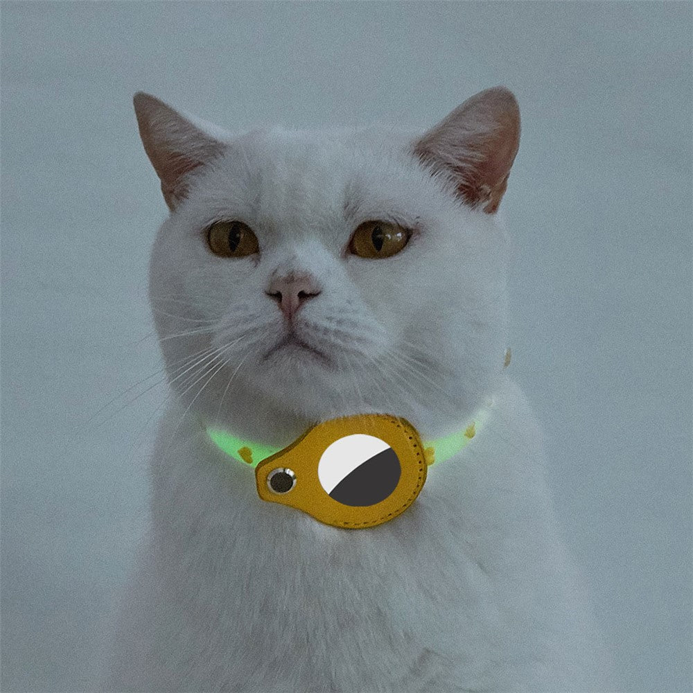 Airtag Accessories 