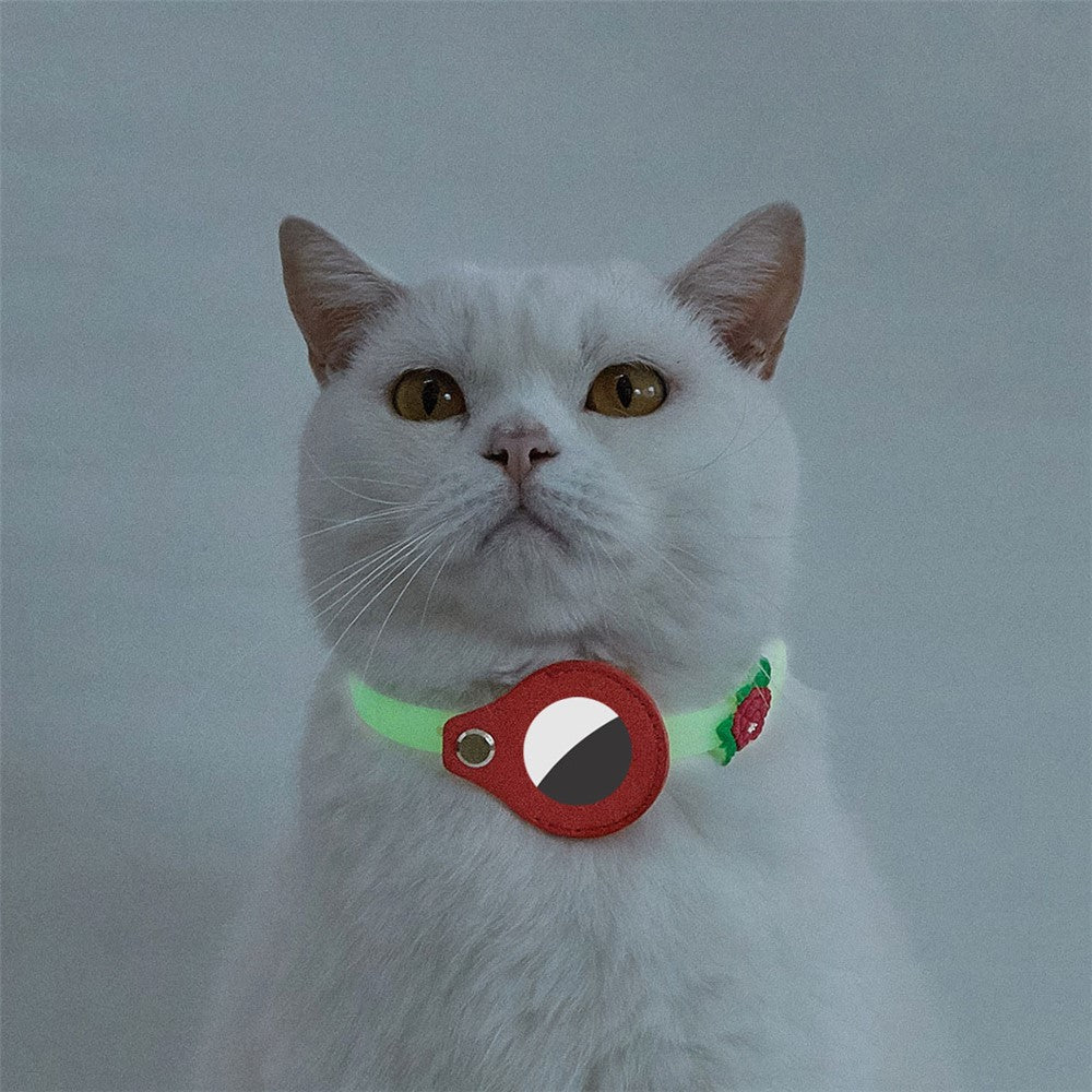 Airtag Accessories 