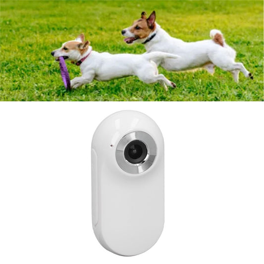 Action Cameras 
