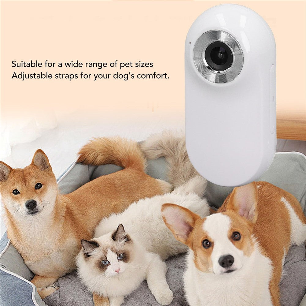 Action Cameras 