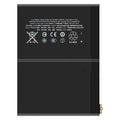 iPad Parts